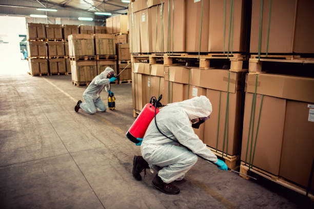 Best Wasp Removal Services  in Mcconnellsburg, PA