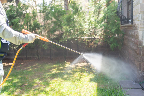 Best Emergency Pest Control  in Mcconnellsburg, PA