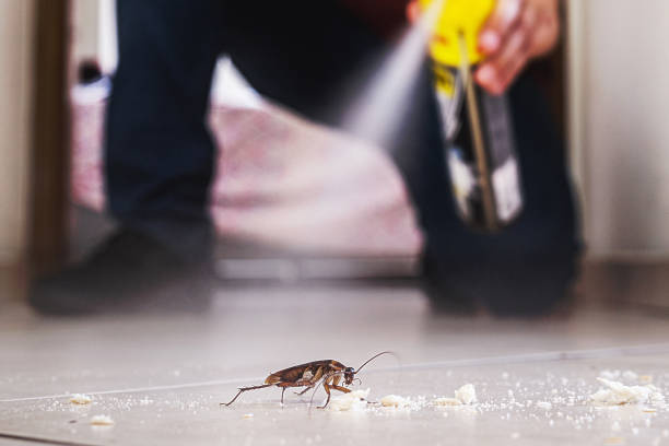 Best Best Pest Control Companies  in Mcconnellsburg, PA