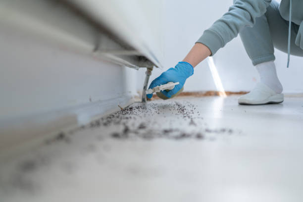 Best Ant Control Services  in Mcconnellsburg, PA